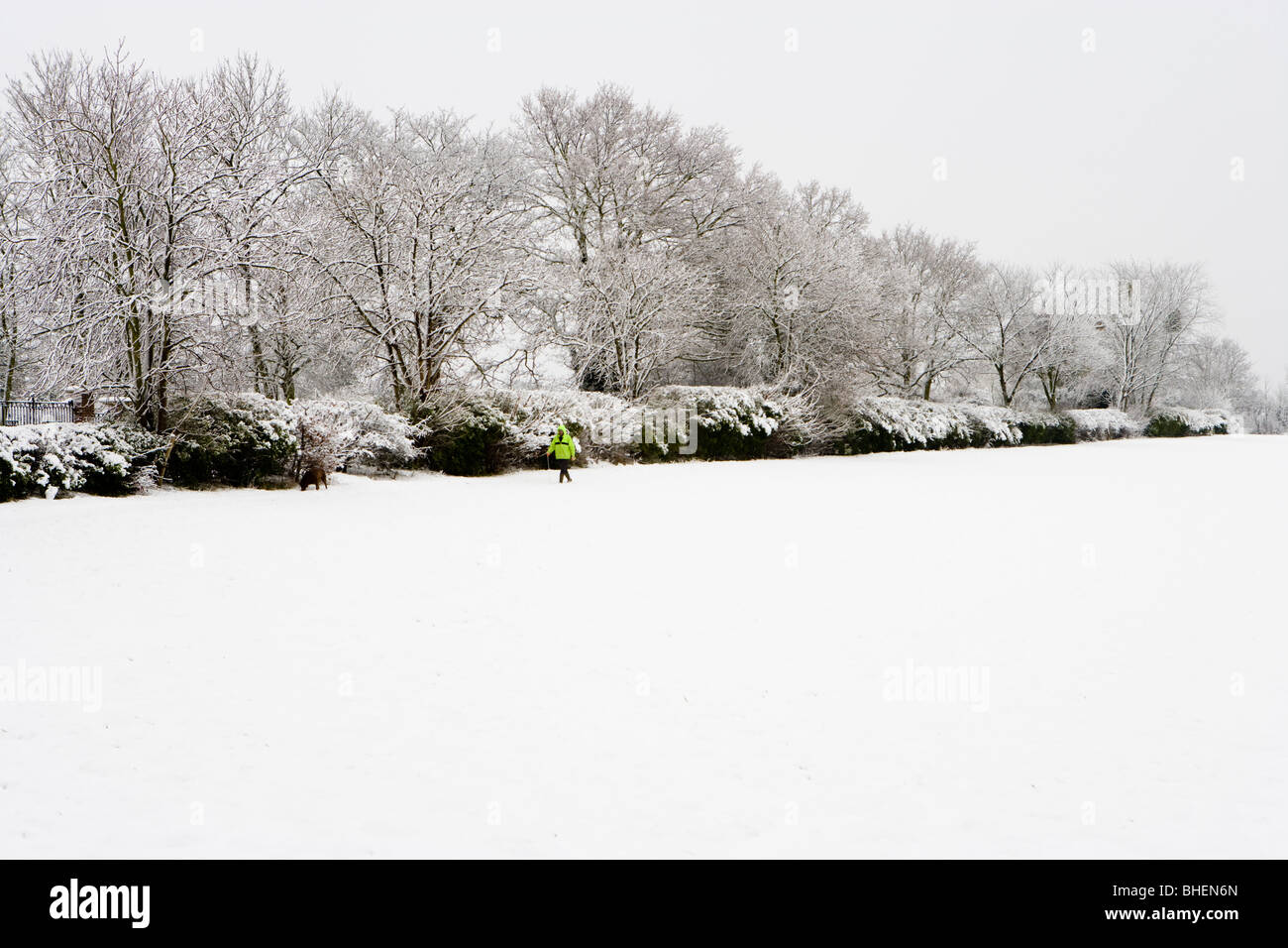 Mann zu Fuß Hund im Winter. Senden Sie, Woking, Surrey. Stockfoto