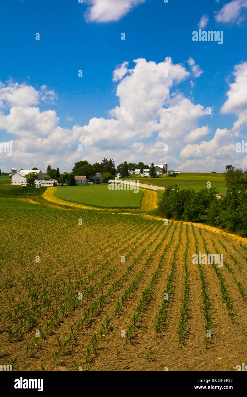 Das Ackerland der Amischen in Lancaster County, Pennsylvania Dutch Country gehören zu den produktivsten in der Nation. Stockfoto