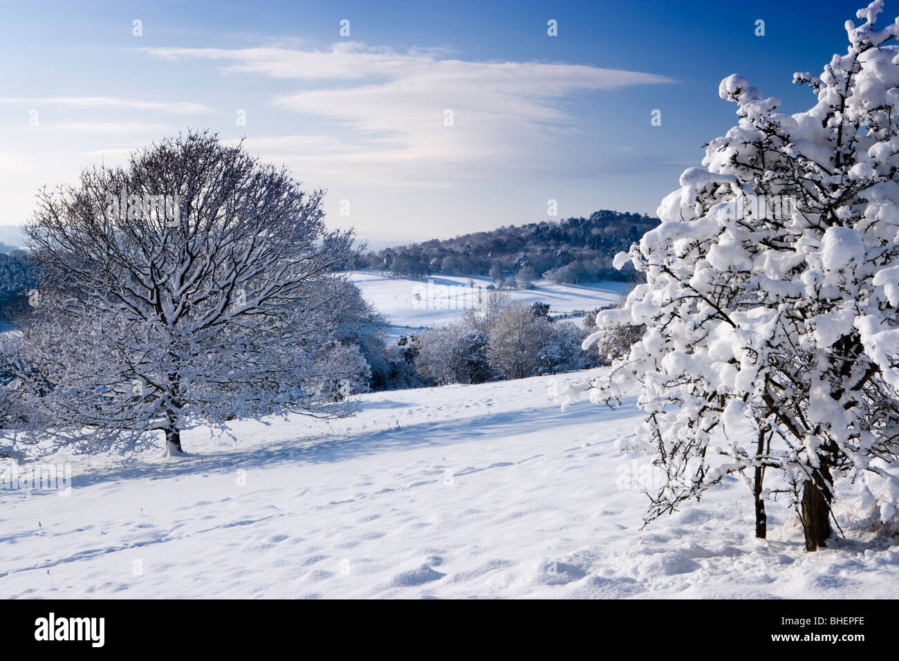 Winter in Newlands Ecke in der Nähe von Guildford, Surrey, UK. Stockfoto