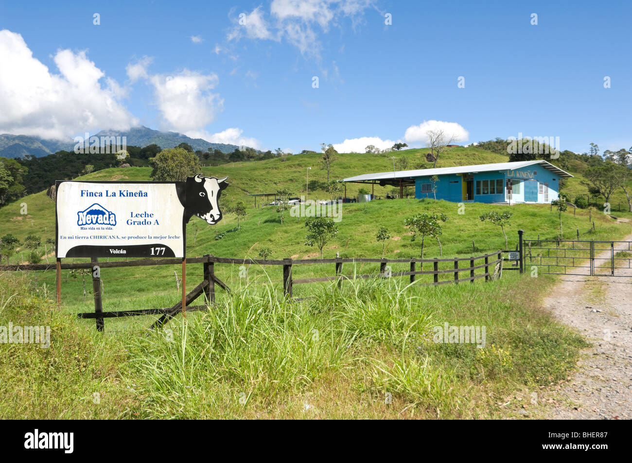 Chiriqui Provinz Panama Finca Milchviehbetrieb Stockfoto