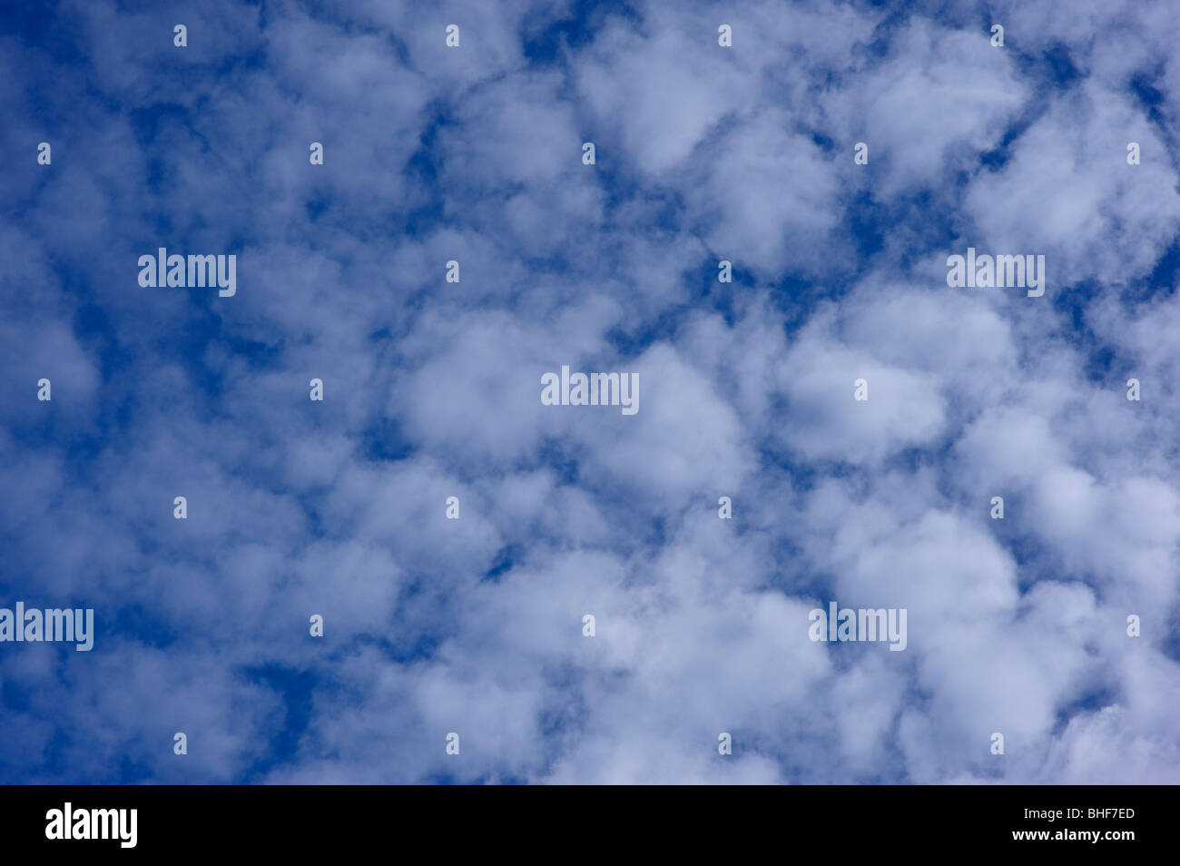Altocumulus-Wolken Stockfoto