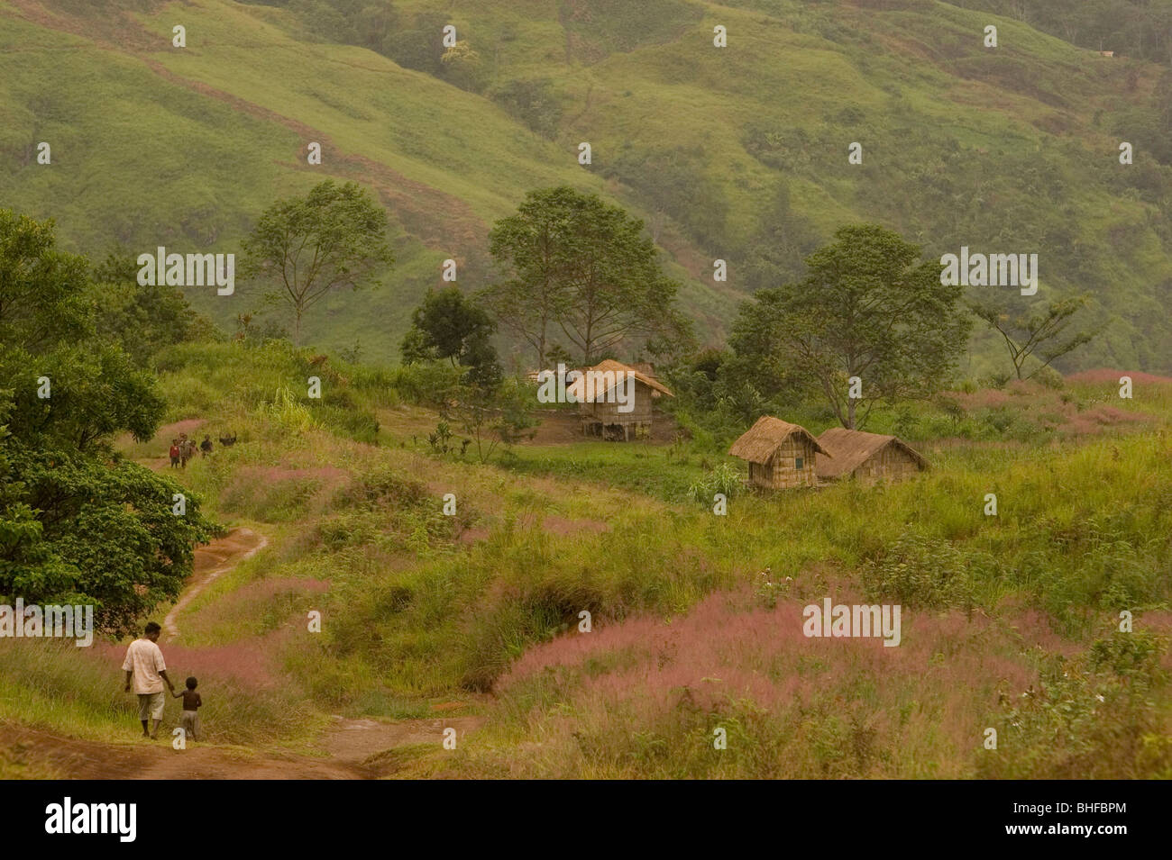 Menschen auf einer Spur in das Dorf, Hochland, Papua Neuguinea, Oceania Stockfoto