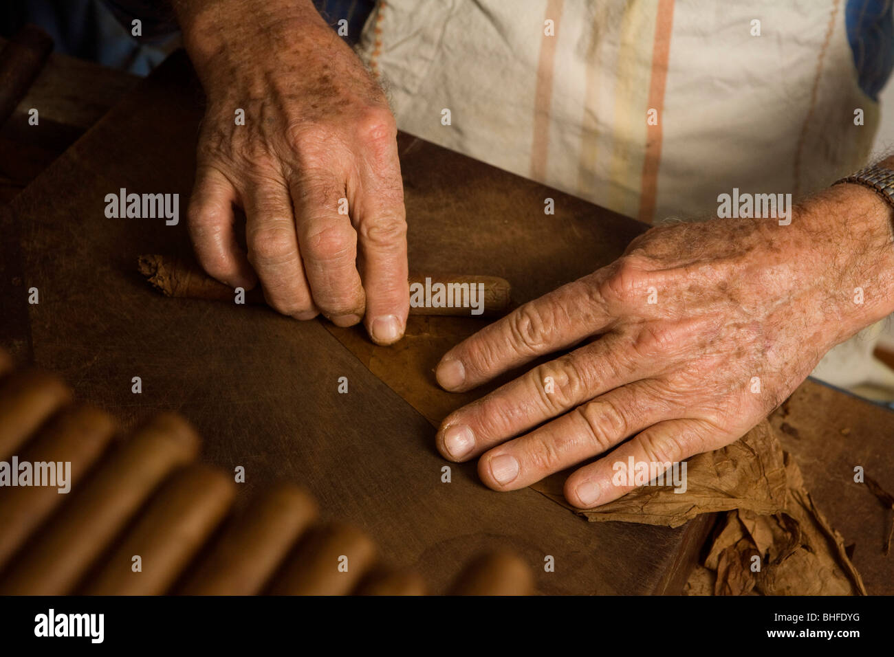 Mann, Eusebio Martin Herstellung von Zigarren, Tabak, in einer Werkstatt Cigarros Artesanos, La Finca Tabaquera El Sitio S.L., Brena Alta Stockfoto