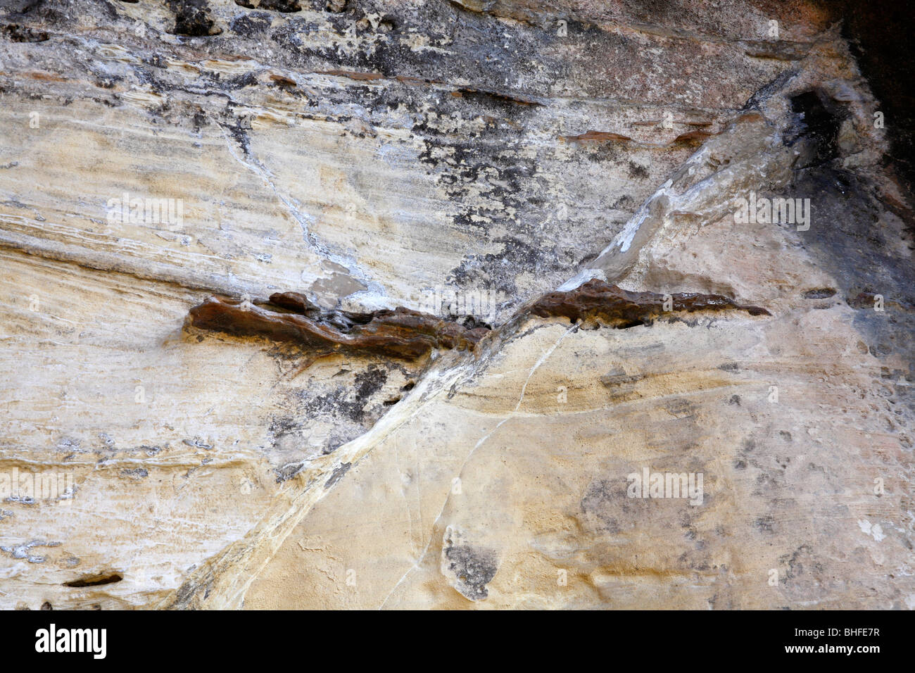 Fehler am Kings Cave Bereich in der Nähe von Blackwaterfoot, The Isle of Arran, Schottland, Juni 2009 Stockfoto