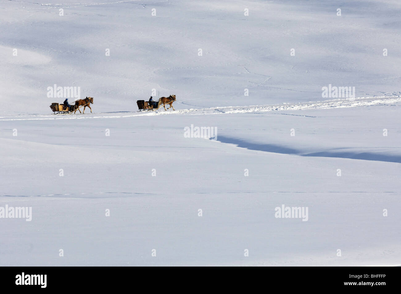 Zwei Schlitten im verschneiten Winter-Landschaft, Alpe di Siusi, Südtirol, Italien, Europa Stockfoto