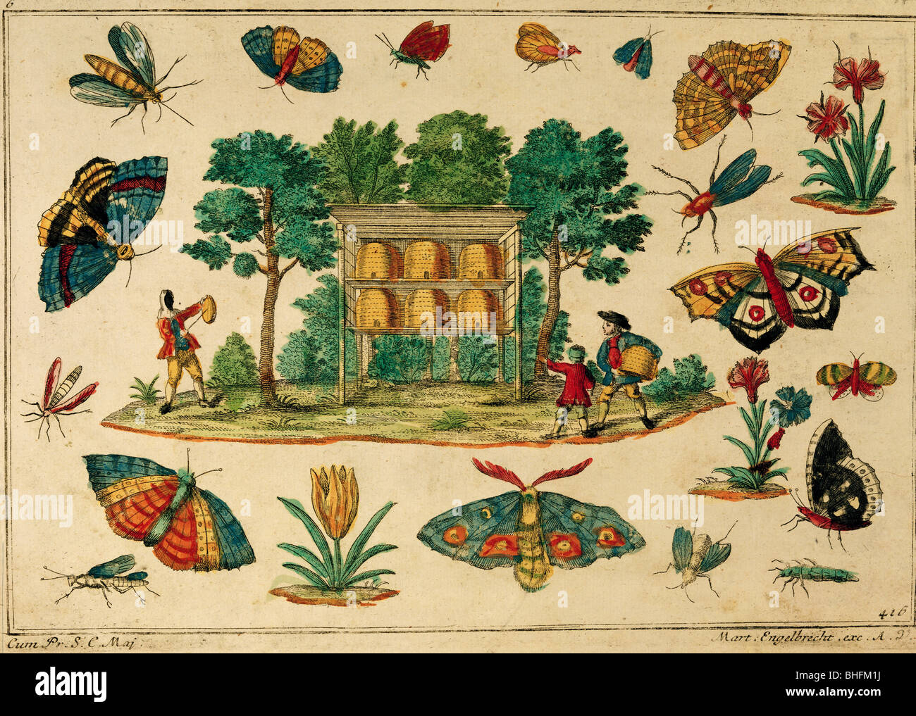 Literatur, Kinderbuch, Illustration des Bienenstocks mit Insekten, farbige Gravur von Martin Engelbrecht, Augsburg, Deutschland, ca. um 1740, Stockfoto