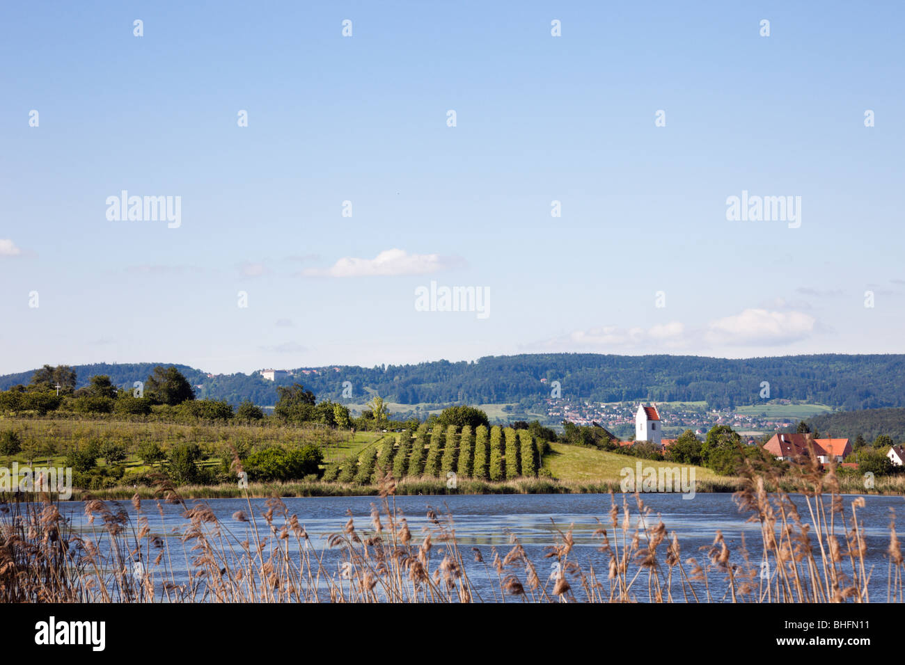 Mimmenhausener, Baden-Württemberg, Deutschland, Europa. Blick über See Schilf, das kleine Land-Dorf Stockfoto
