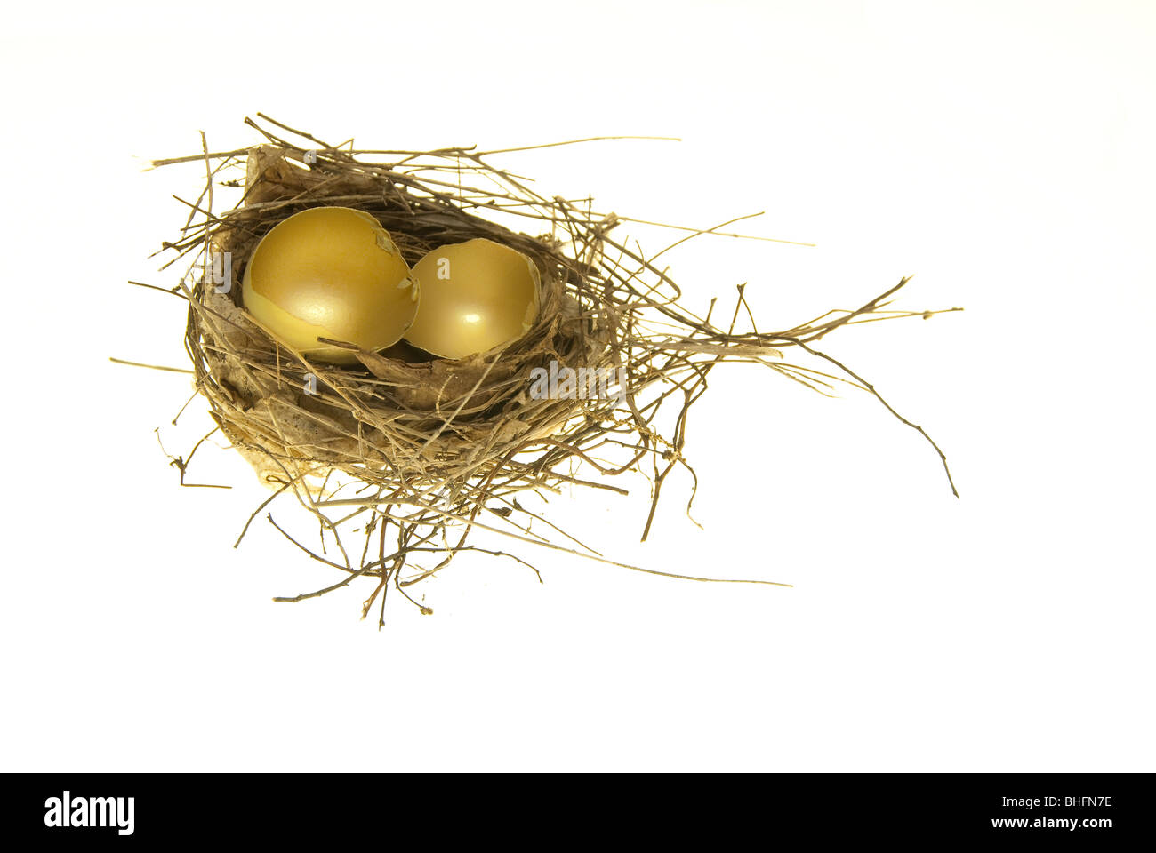 Leere gold gebrochenen Eierschalen im Vogelnest, Studio gedreht Stockfoto