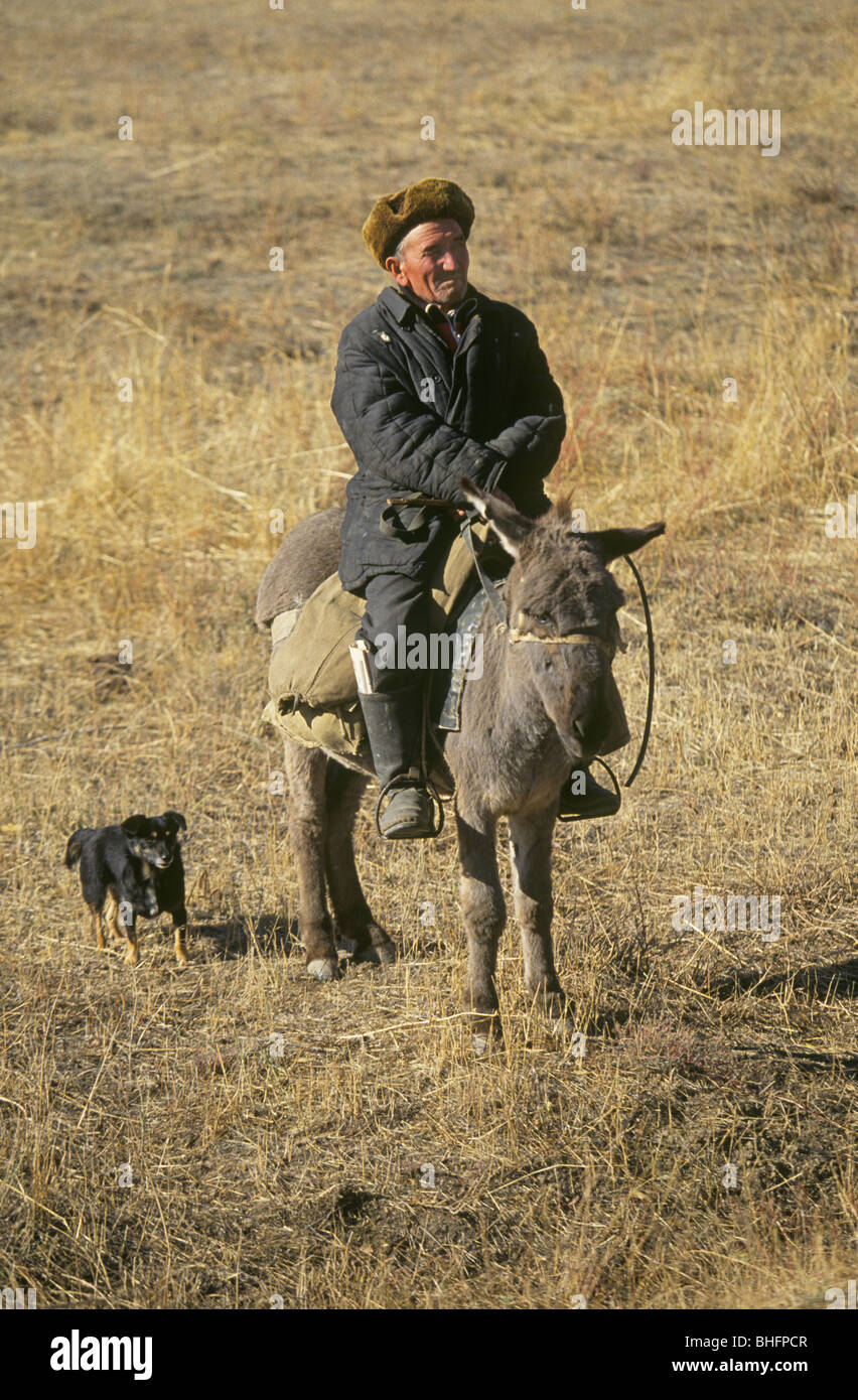 Ein Kazak Hirten oder Schäfer mit seinem Esel und Hund auf der Steppe von Kasachstan Stockfoto