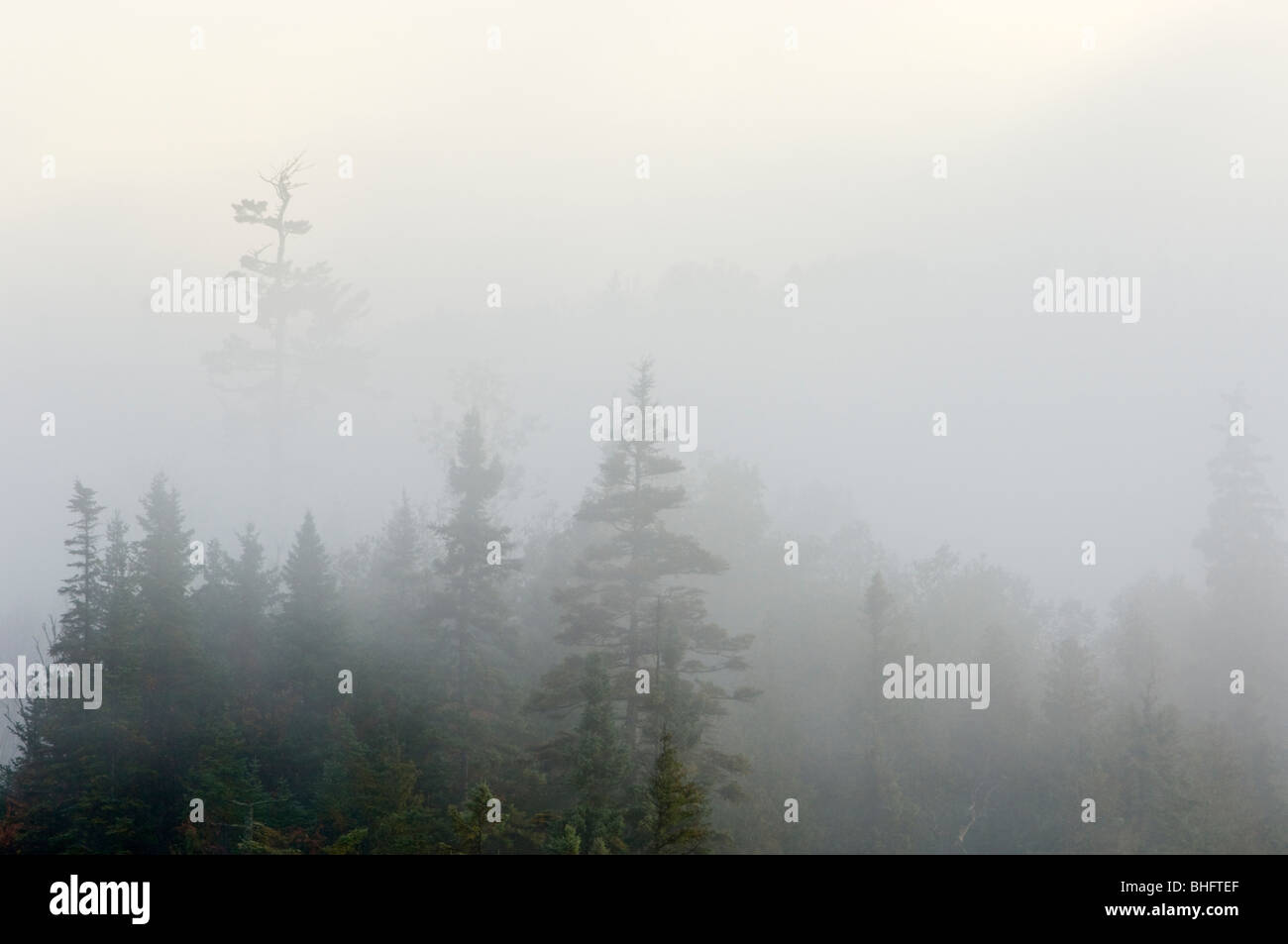 Morgen Nebel über Kenny Lake, Lake Superior Provincial Park, Ontario, Kanada Stockfoto