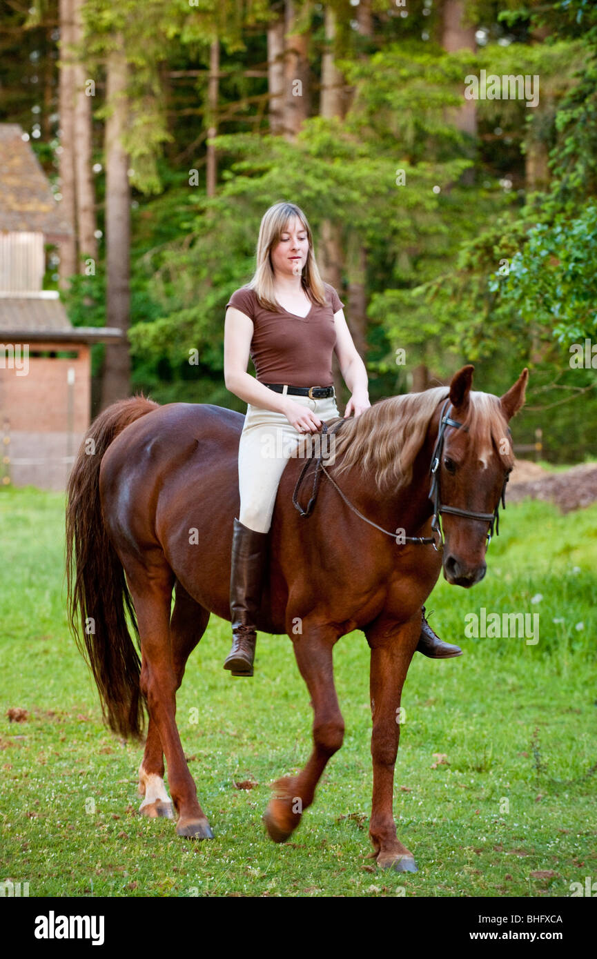 Hübsche Frau Die Ihr Pferd Ohne Sattel Reiten Stockfotografie Alamy 