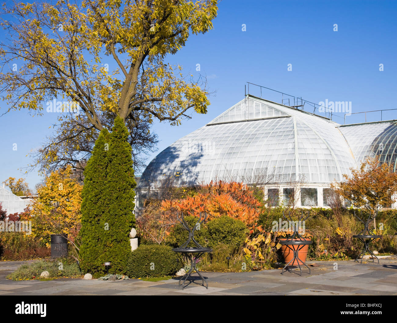 Garfield Park Conservatory in Chicago. Stockfoto