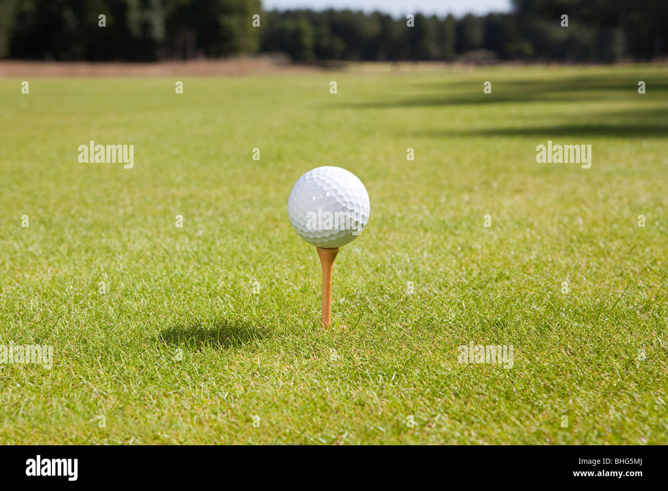 Golfball und tee Stockfoto