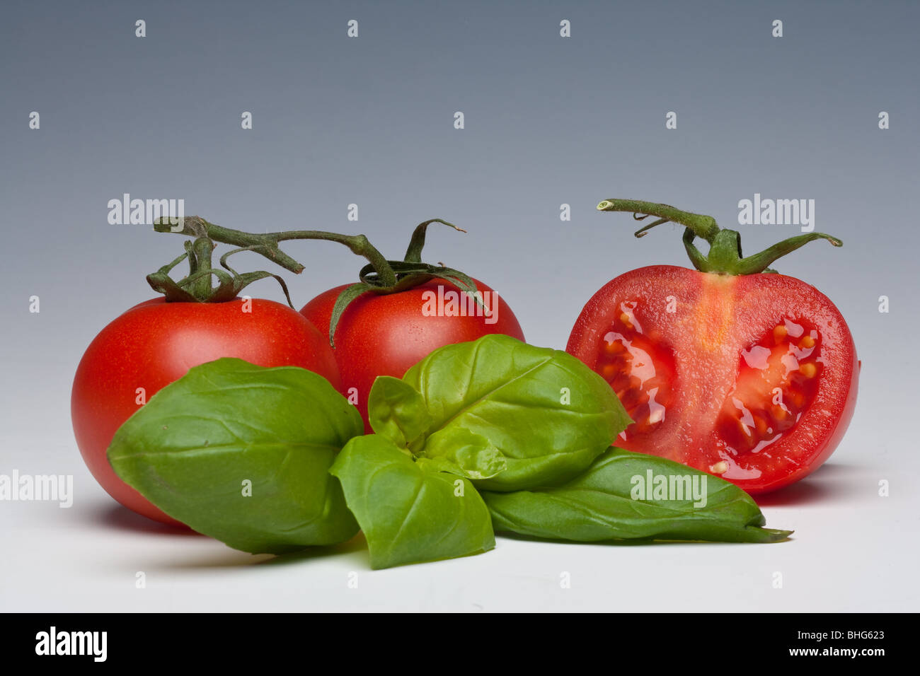 Tomaten und Basilikum Kraut auf einem einfarbigen Hintergrund Stockfoto