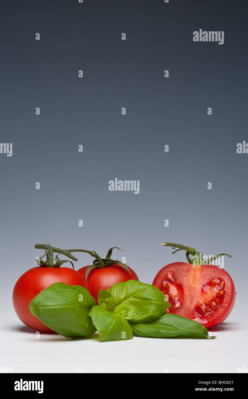 Tomaten und Basilikum Kraut auf einem einfarbigen Hintergrund Stockfoto