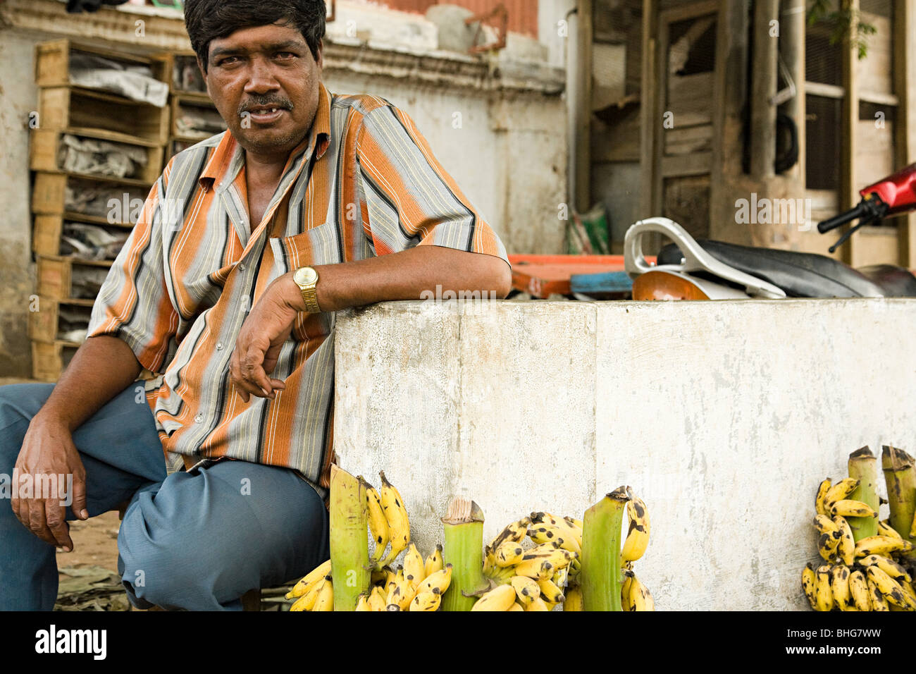 Mann, Verkauf von Bananen in Mysore, Indien Stockfoto