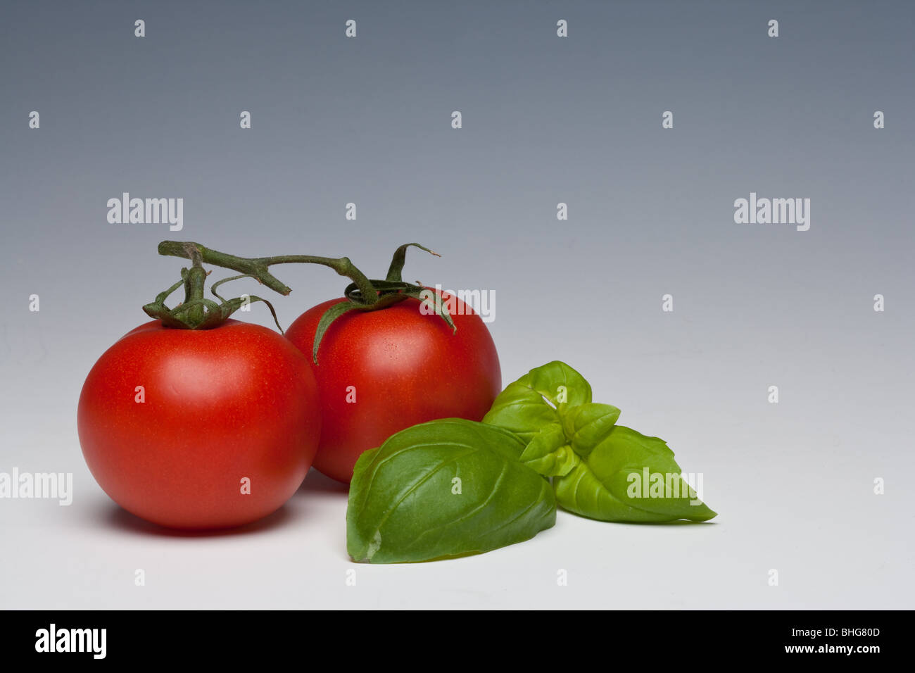 Tomaten und Basilikum Kraut auf einem einfarbigen Hintergrund Stockfoto