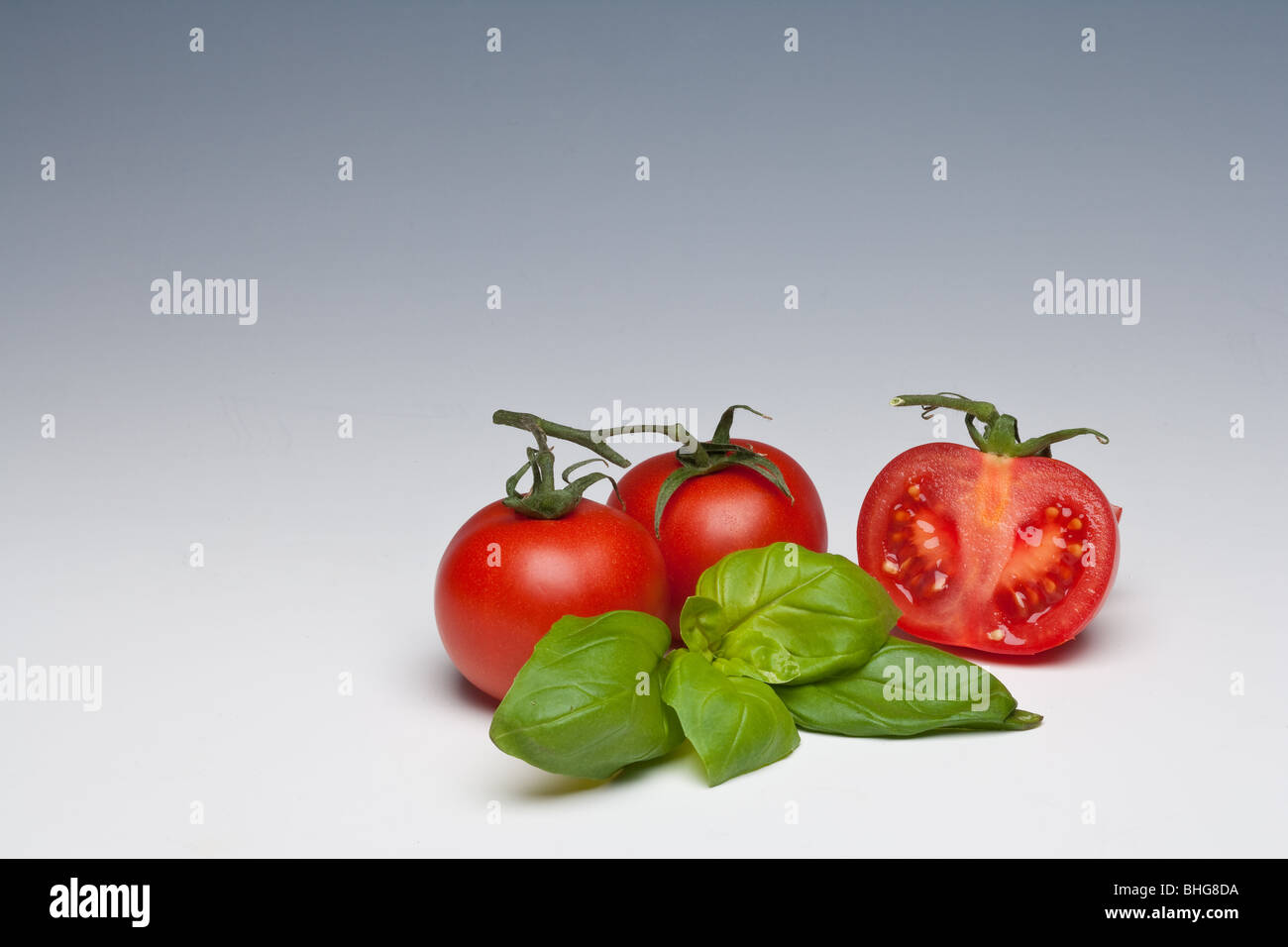 Tomaten und Basilikum Kraut auf einem einfarbigen Hintergrund Stockfoto