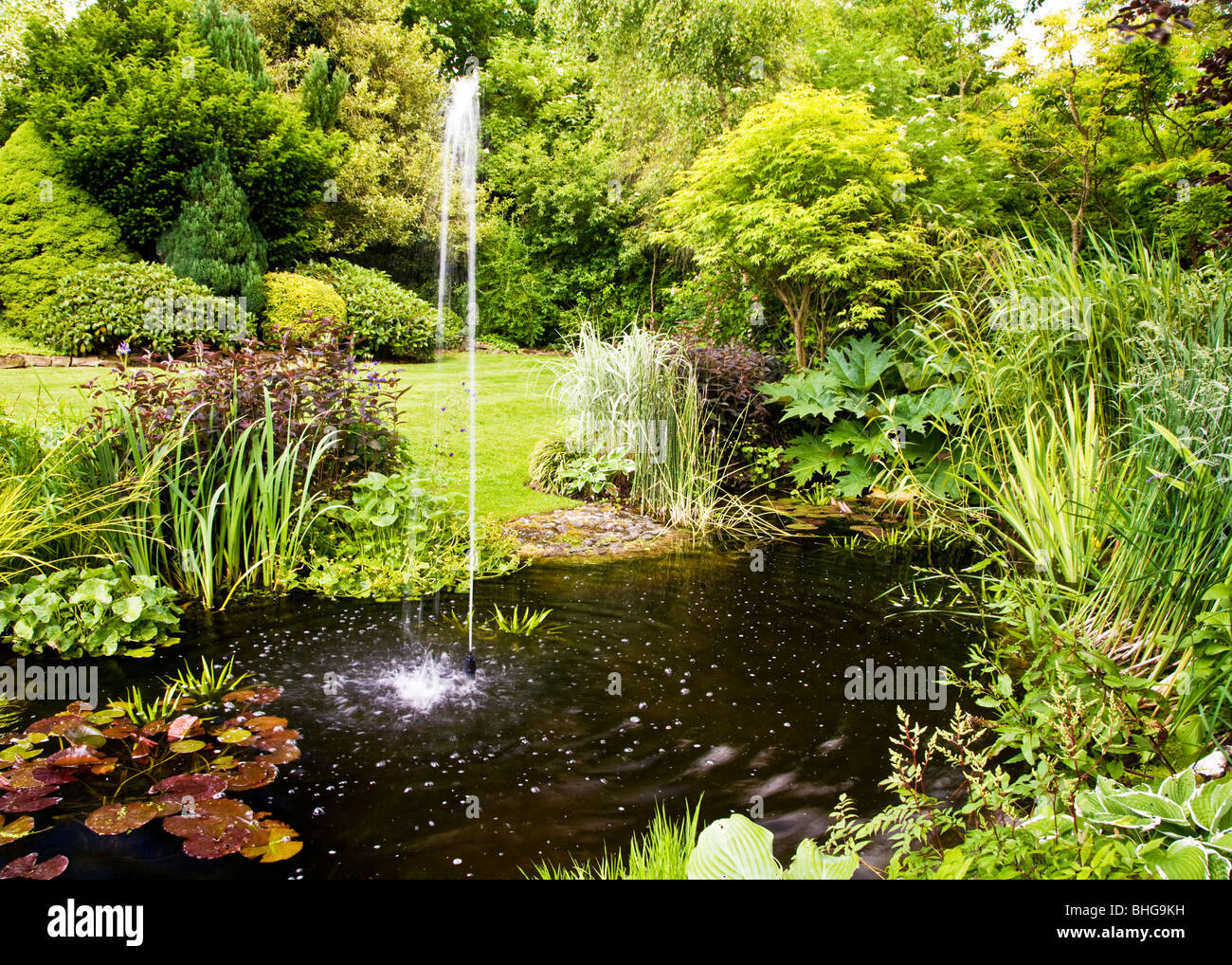 Garten-Teich mit Springbrunnen im Sommer in einen englischen Landschaftsgarten. Stockfoto