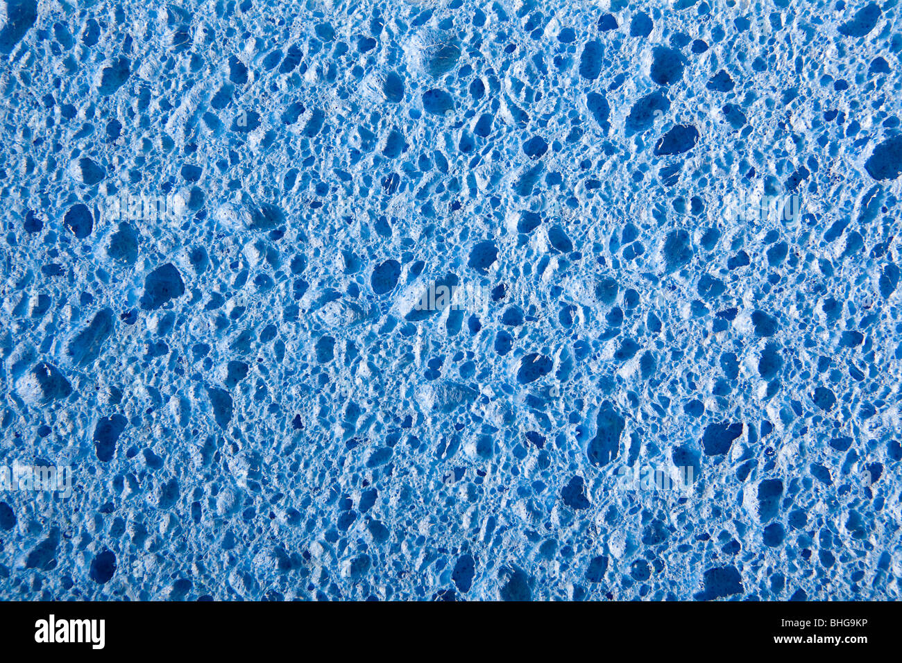 Detail des blauen Schwamm Stockfoto