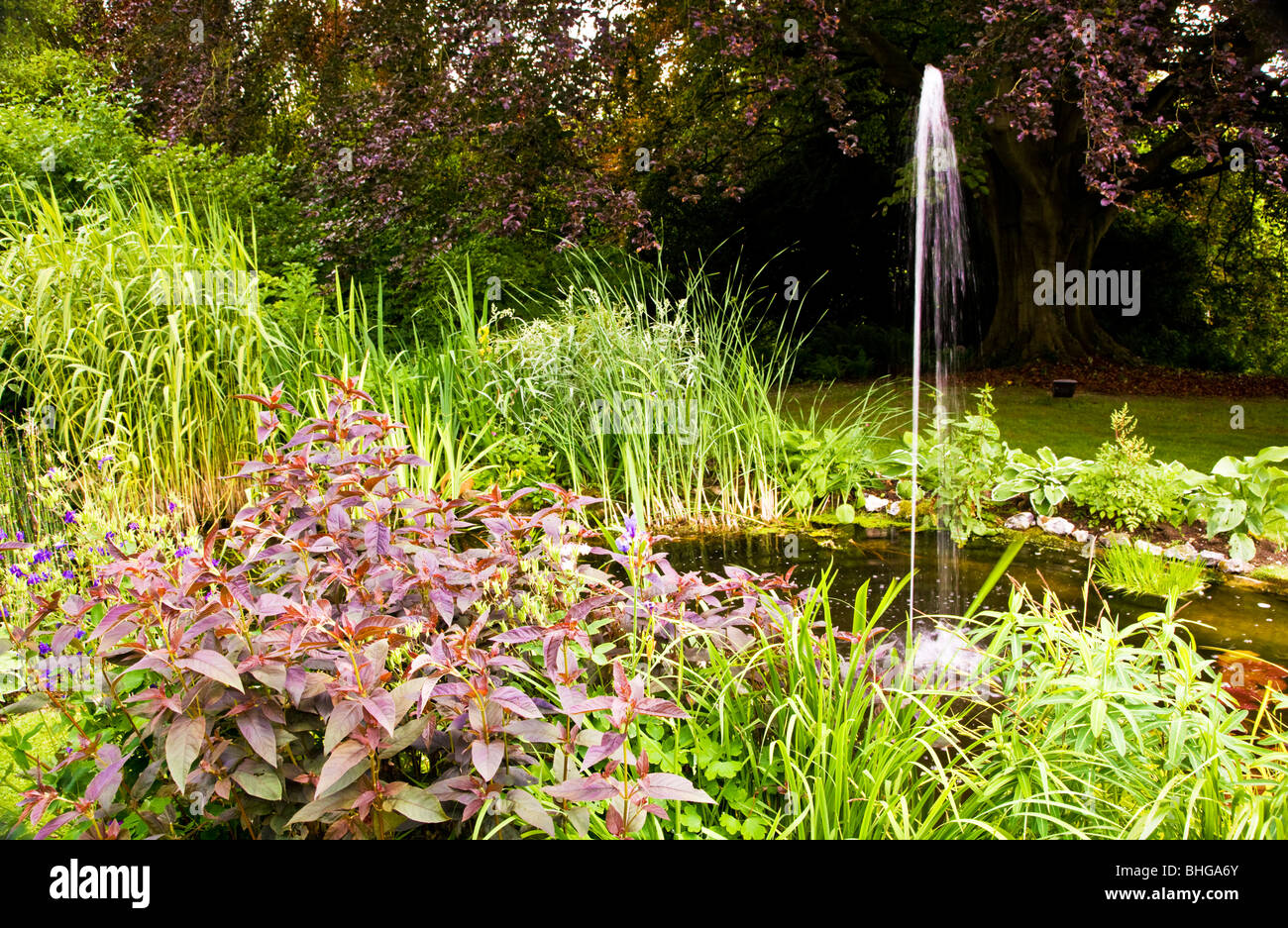 Ein Gartenteich mit einem Brunnen im Sommer in einem englischen Landhaus-Garten Stockfoto
