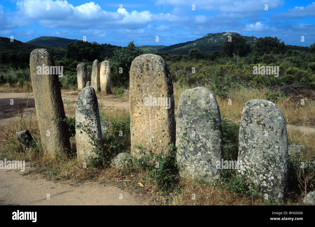 Megalithische Ausrichtung von prähistorischen Stehsteinen oder Menhiren in Palaghju, aka Palaggiu oder Pagliajo, in der Nähe von Tizzano, Sartene, Korsika, Frankreich Stockfoto