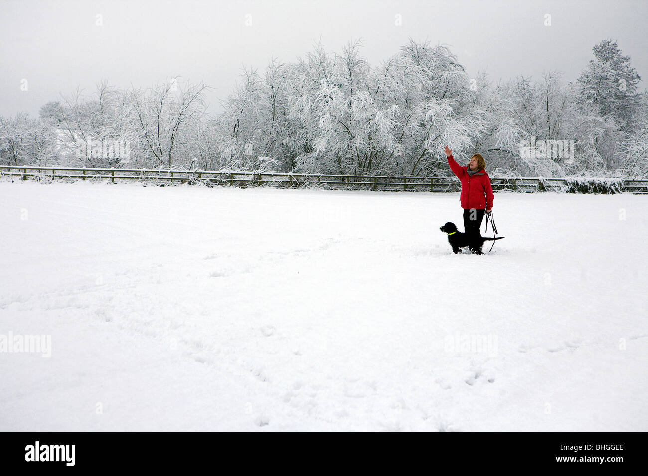 Lady wirft eine Spielzeug für ihren Hund Labradoodle, während in der Mitte ein Feld, das mit Schnee bedeckt ist Stockfoto