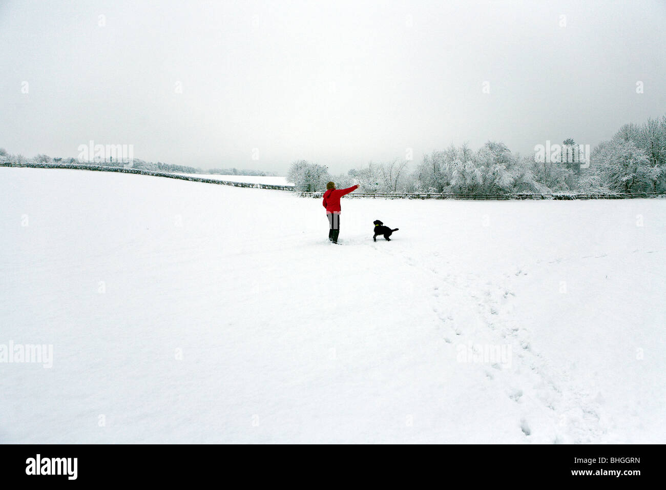 Lady wirft eine Spielzeug für ihren Hund Labradoodle, während in der Mitte ein Feld, das mit Schnee bedeckt ist Stockfoto