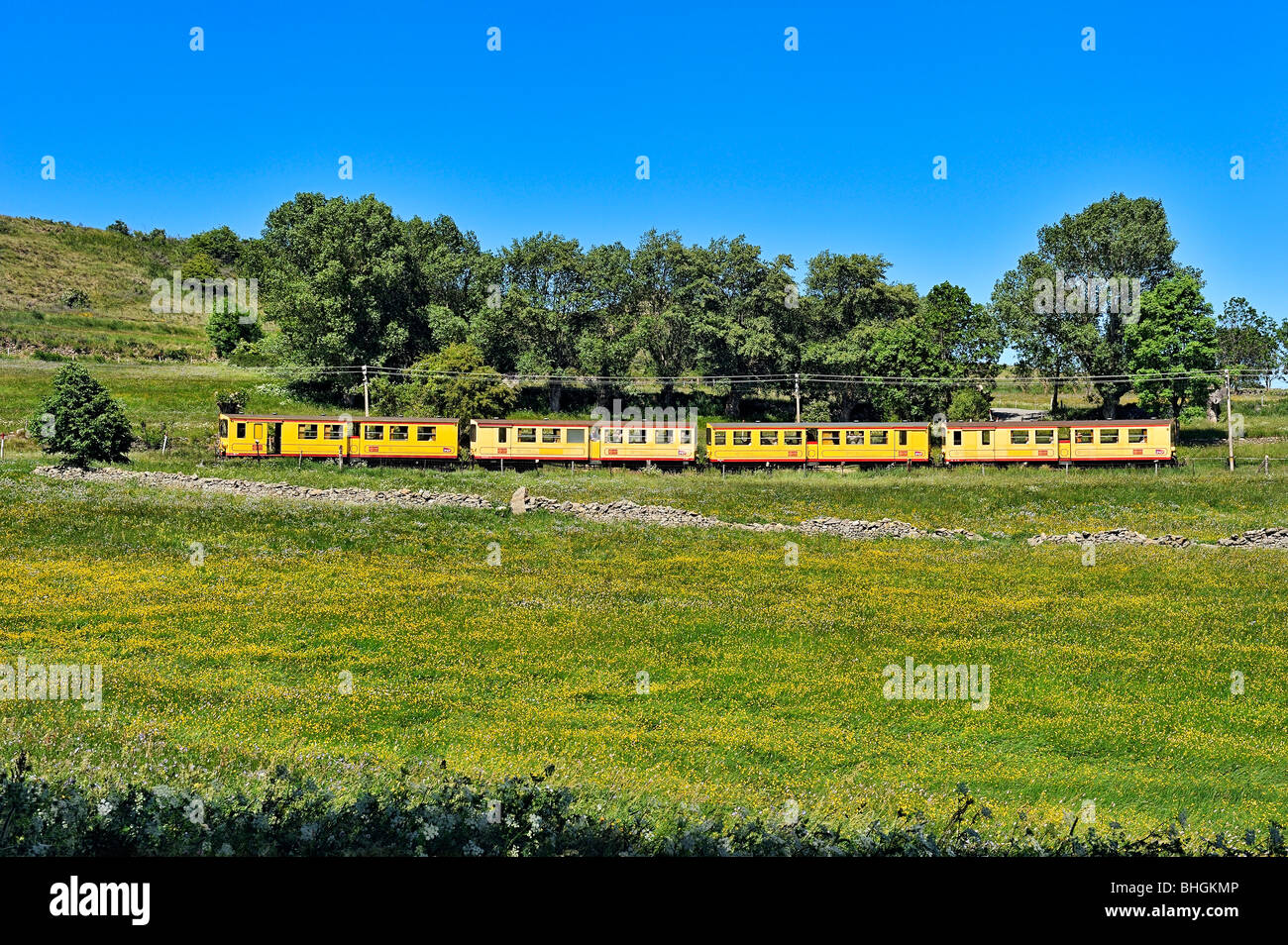 Train Jaune in Bergen der Pyrenäen, Languedoc Roussillon, Frankreich. Stockfoto