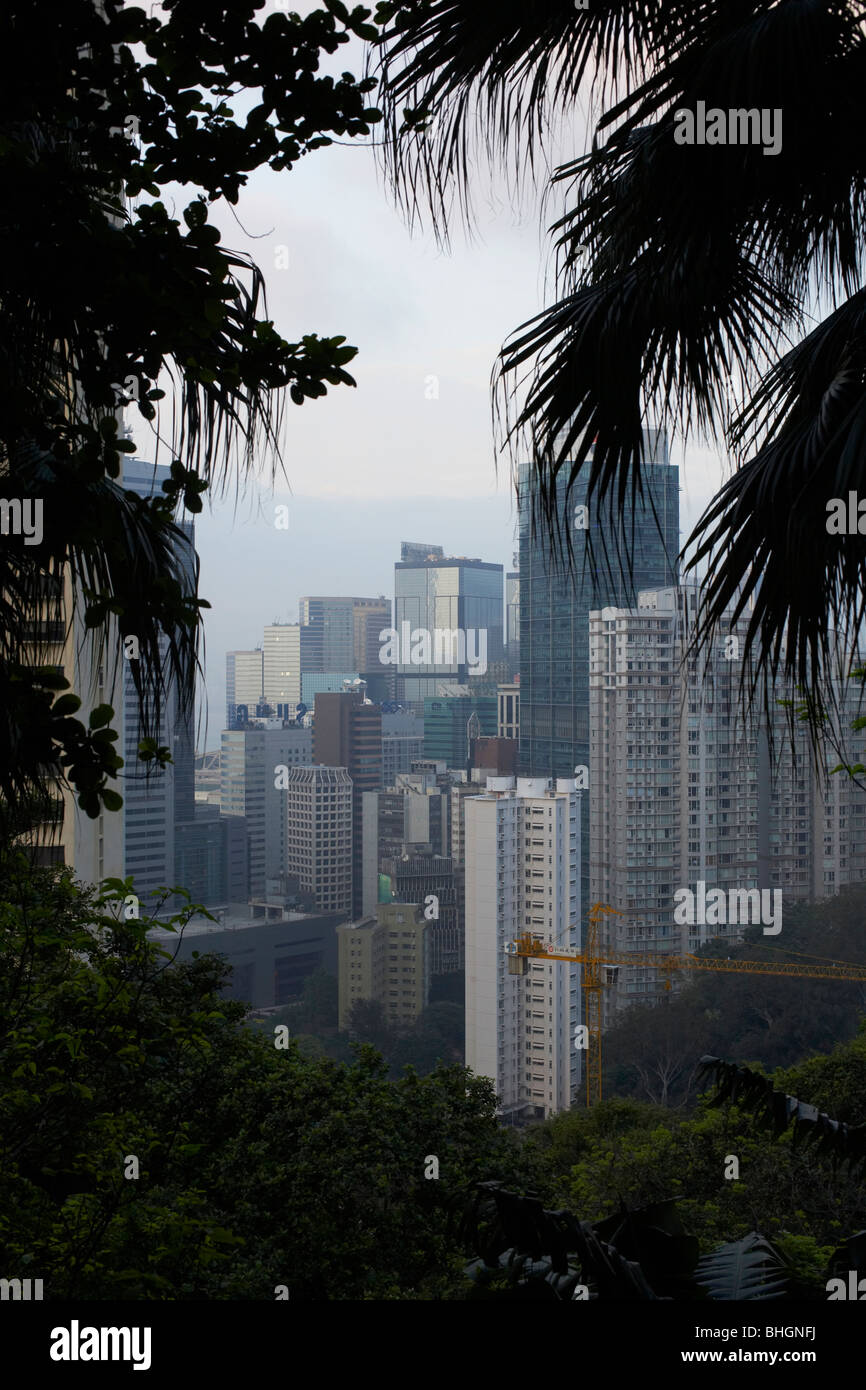 Hong Kong Blick durch Bäume Stockfoto