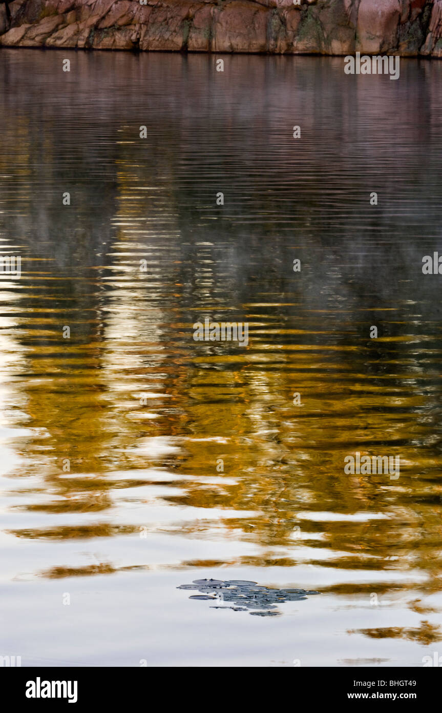 Baum-Reflexionen in der Bucht von George Lake, Killarney Provincial Park, Ontario, Kanada Stockfoto