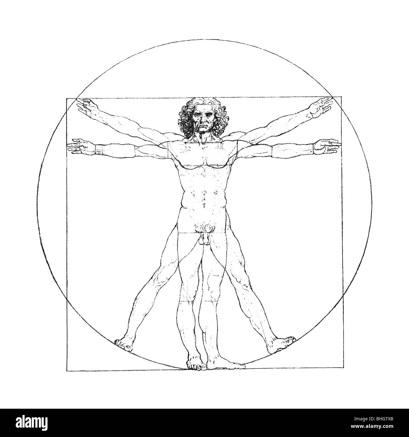 Leonardo Da Vincis Vitruvian Mann, Digital verbessert und retuschiert, isoliert auf weiss. Stockfoto