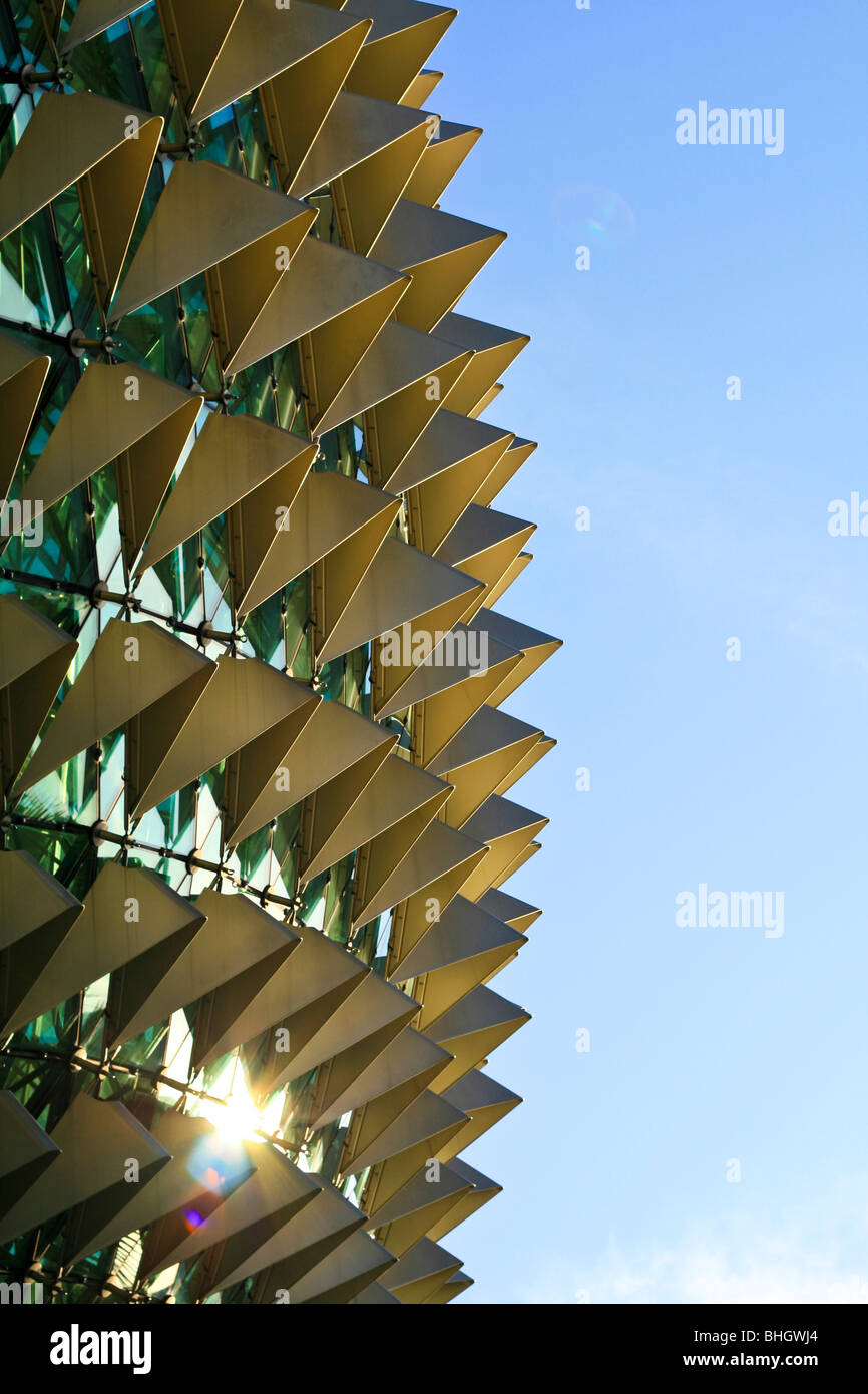 Nahaufnahme der Esplanade Theater - Singapur, Asien Stockfoto