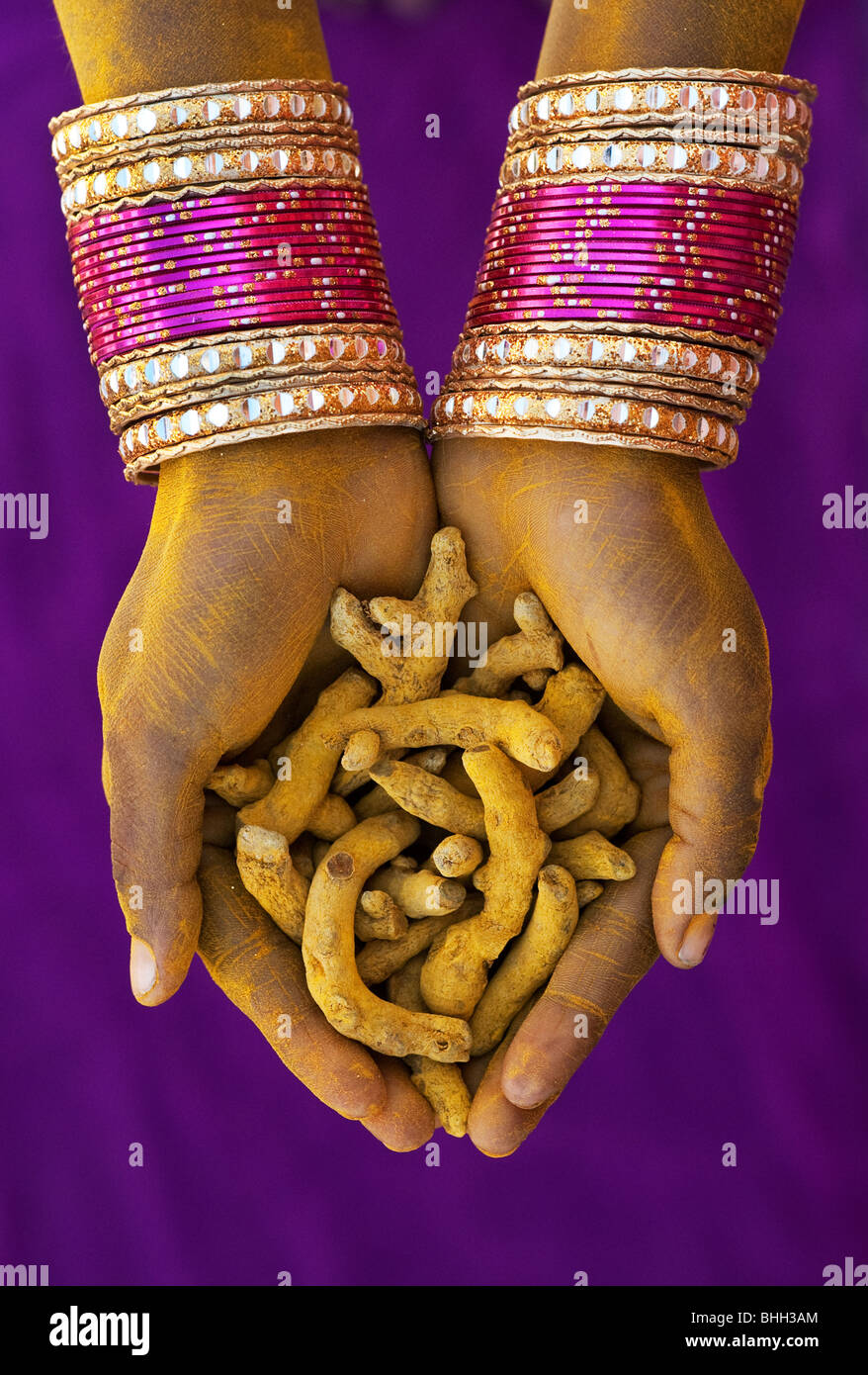 Indischer womans hohlen Händen bedeckt in Kurkuma Pulver holding Gelbwurz Wurzeln. Indien Stockfoto