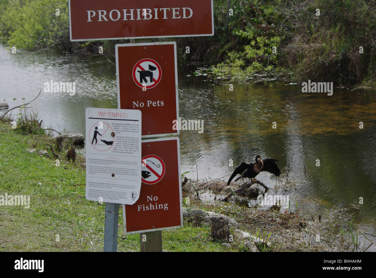 Anhinga Wildvogel trocknen ihre Federn hinter den Park-Plakate im Everglades-Nationalpark, Florida, USA Stockfoto