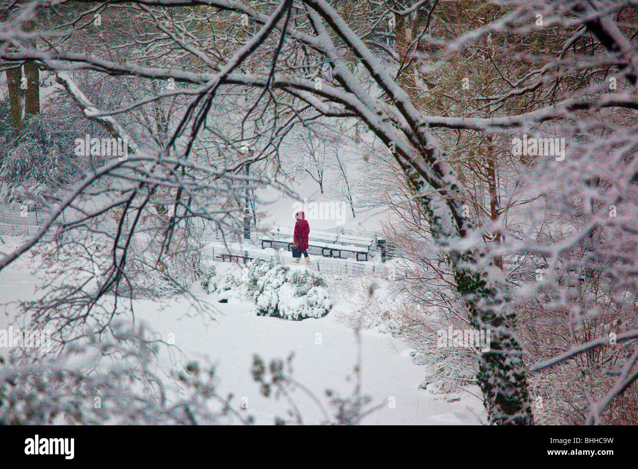 Frau zu Fuß im Schnee im Central Park in New York City Stockfoto