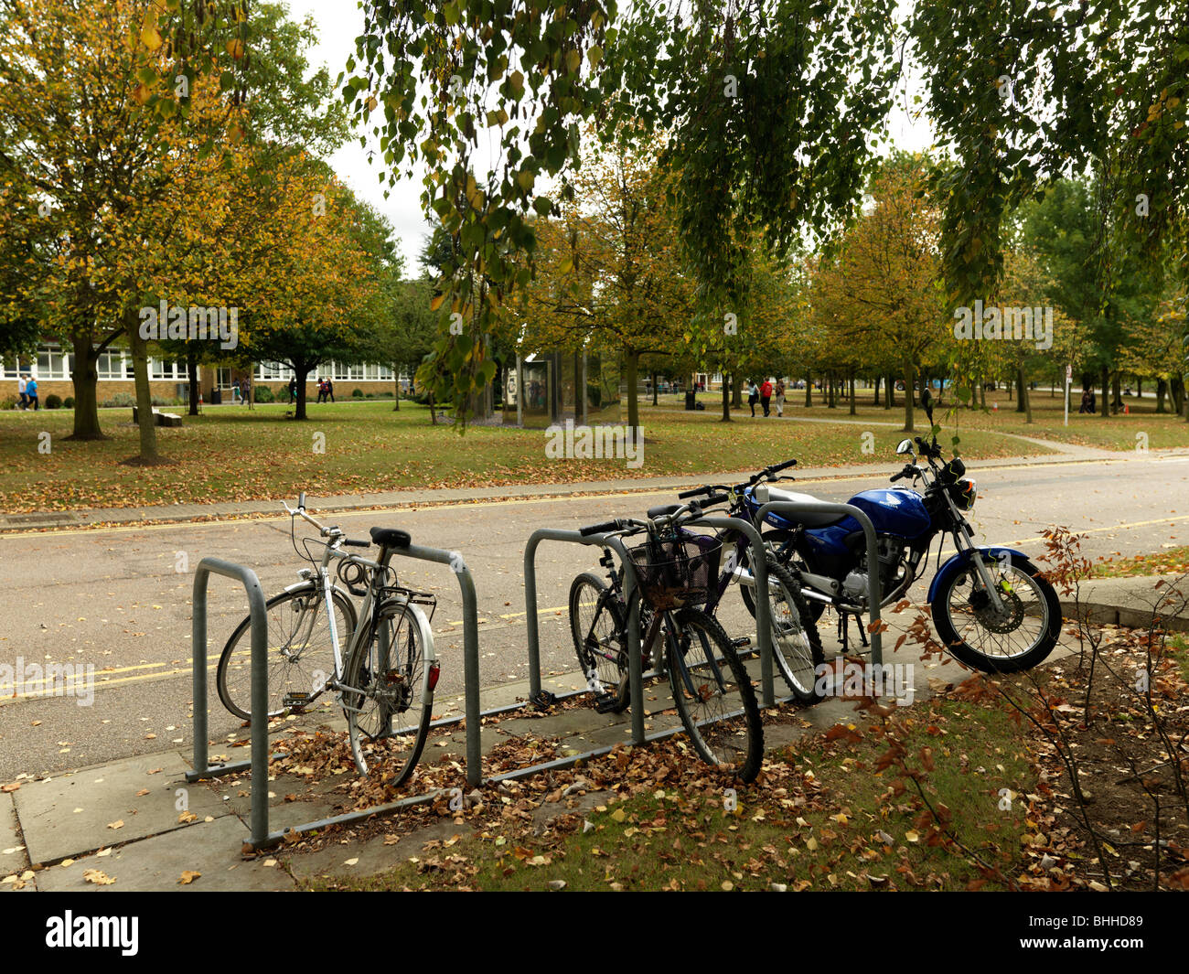Fahrradständer auf dem Campus der University of Hertfordshire England Stockfoto