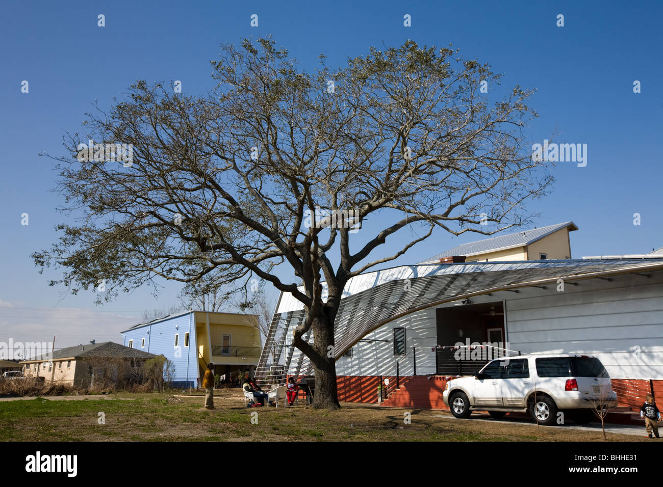 Fünf Personen verbrachte drei Tage in dieser Live-Eiche Leben während des Hurrikans Katrina, unteren neunten 9th Ward, New Orleans, Louisiana Stockfoto