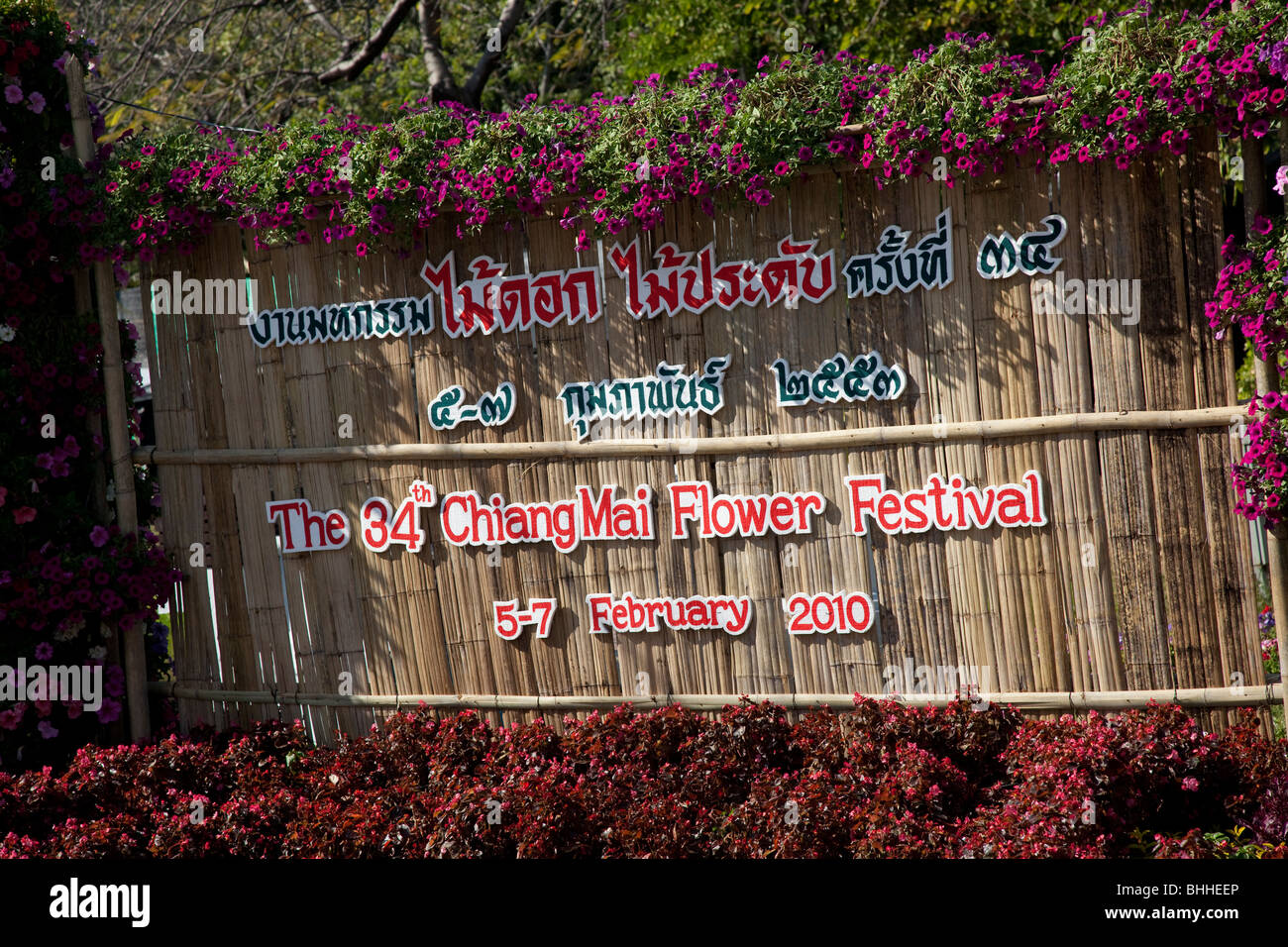 Blumenschau, antike und moderne Floristik bunt dekoriert mit Blumen, Umzug mit Wagen mit bunten Blumen; 34 Chiang Mai Flower Festival. Stockfoto