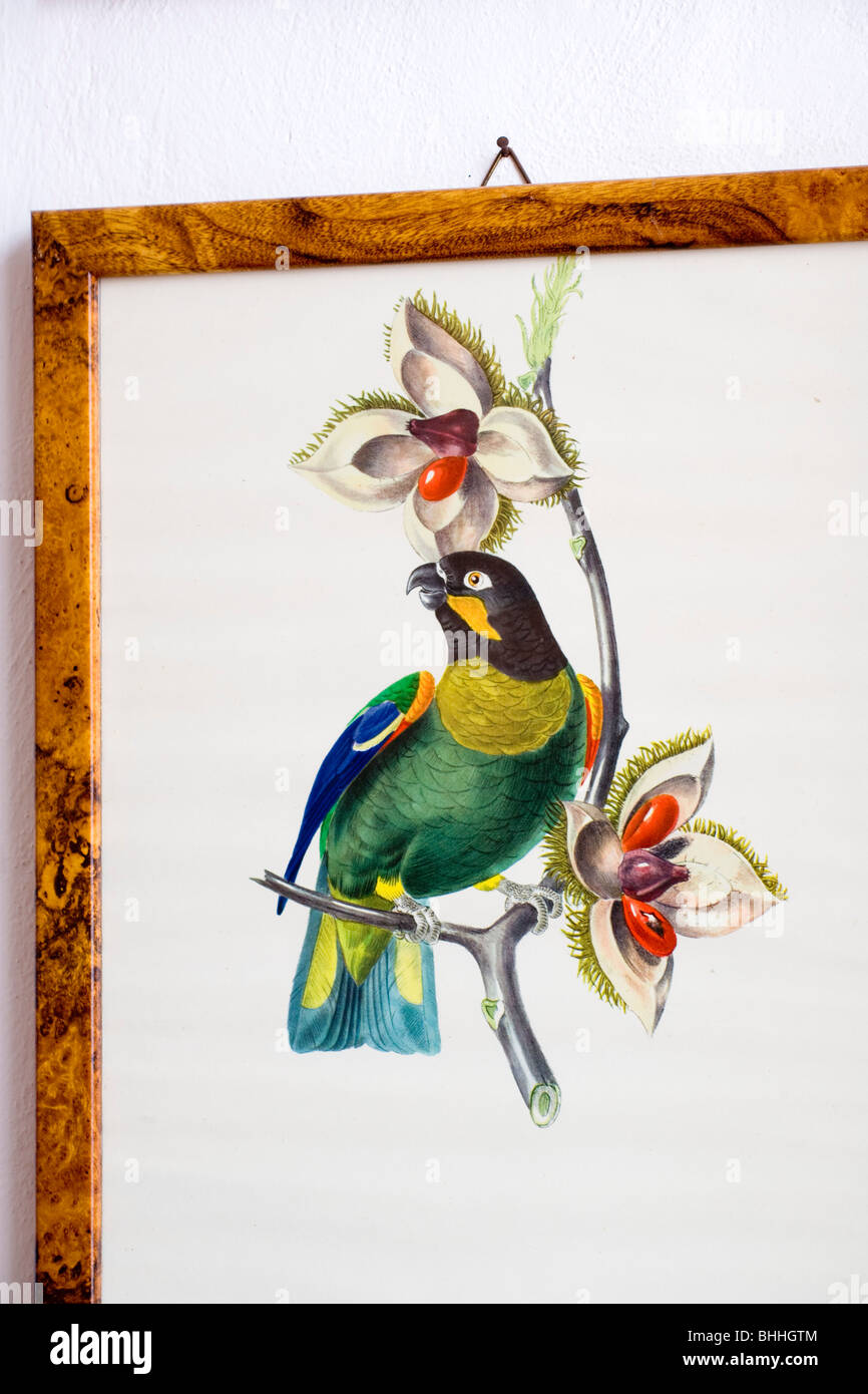 Natur Vogel und Blumen-print Stockfoto