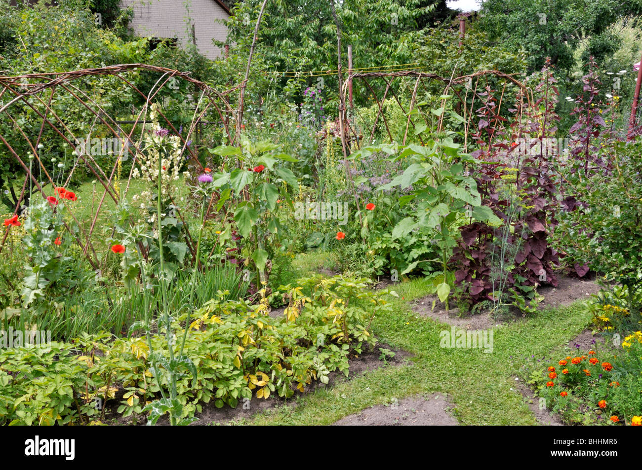 Gemüse Betten in einem natürlichen Garten. Design: Susanna komischke Stockfoto