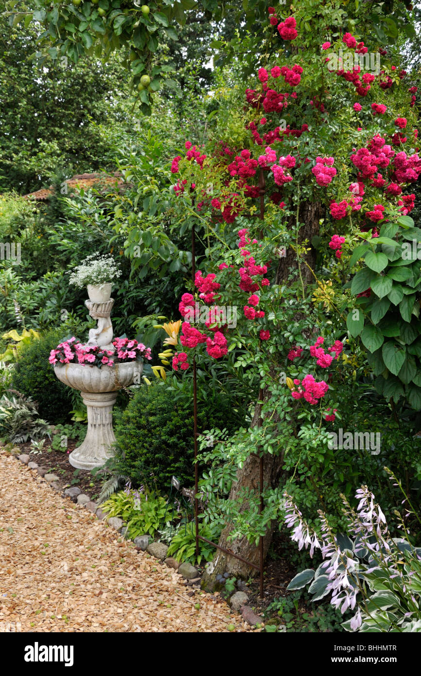 Rambler (rosa super Excelsa) mit Brunnen gepflanzt. Design: Marianne und Detlef lüdke Stockfoto