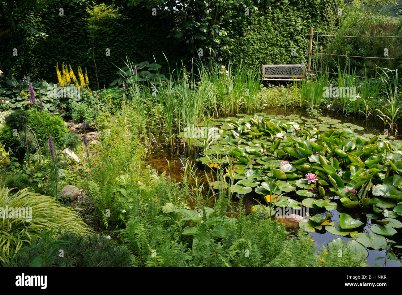 Garten Teich mit Seerosen (nymphaea). Design: Marianne und Detlef lüdke Stockfoto