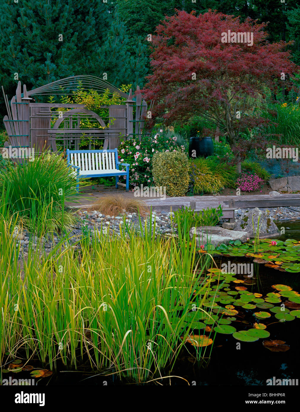 Vashon, WA: Fantasievolle Zeder Bildschirm und bunte Bank bietet einen ruhenden Platz mit Blick auf einen ruhigen Teich mit Seerosen und Gräser Stockfoto