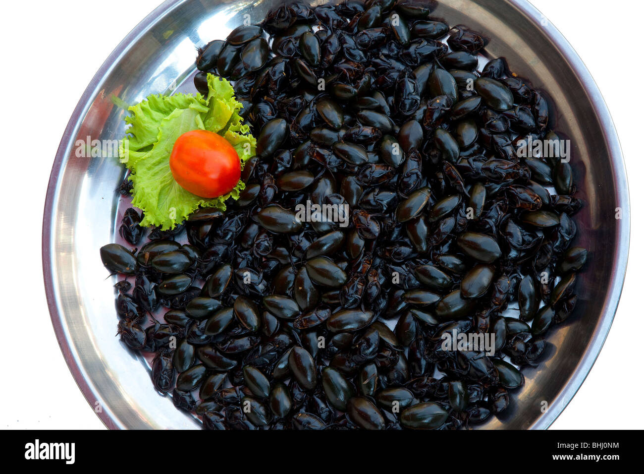 "Bush Tucker essen'-Platte von essbaren Gebratene Insekten essen, Bug, Ernährung, lecker, Bio, als am Straßenrand verkauft Stall in Chiang Mai, Nordthailand, Asien Stockfoto