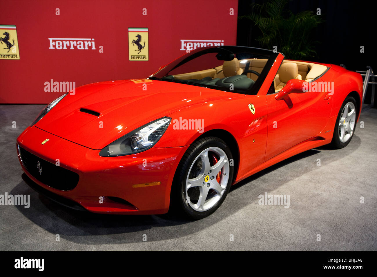 Roter Ferrari Stockfoto