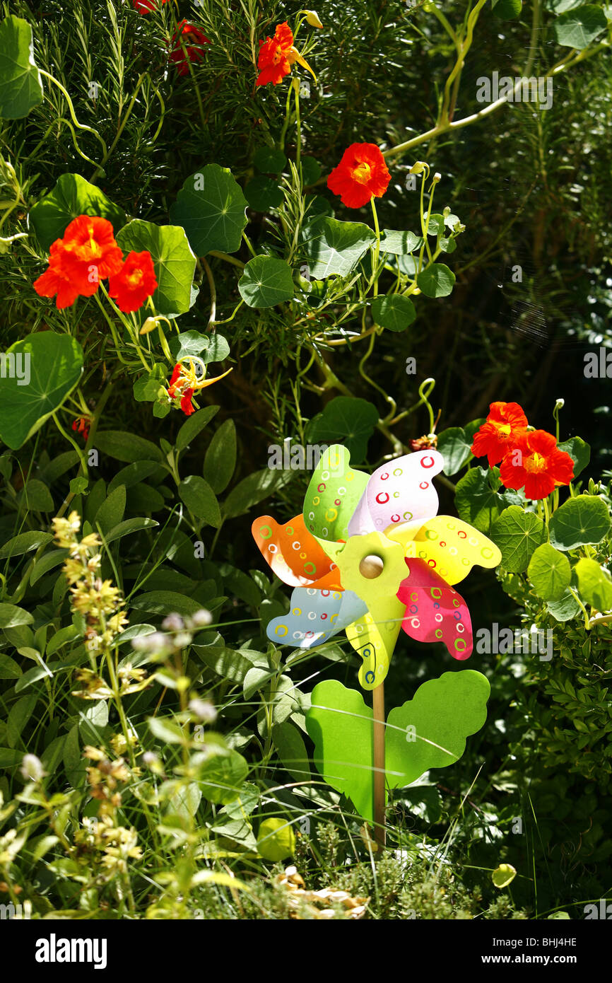 Eine Spielzeug-Blume in einem Garten Stockfoto