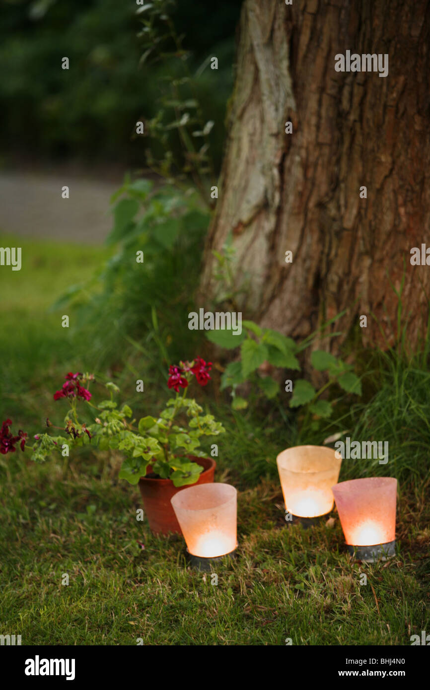 Kerzen von einem Baum Stockfoto