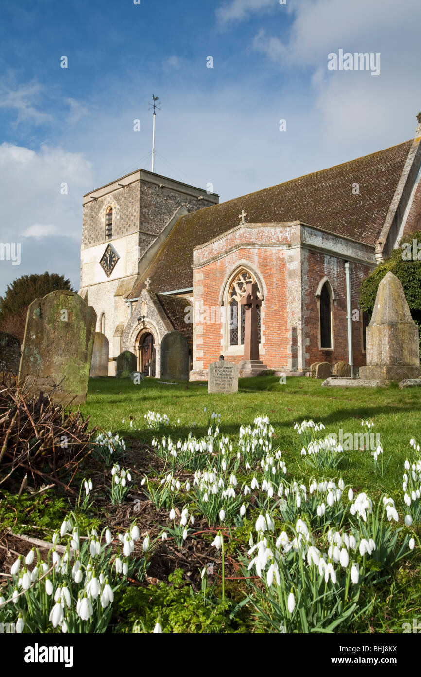 Str. Marys Kirche und Schneeglöckchen in Kintbury, Berkshire, Großbritannien Stockfoto