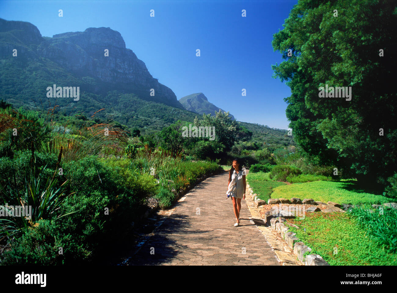 Weibliche Touristen zu Fuß Weg im Garten von Kirstenbosch unter Tafelberg in Kapstadt, Südafrika Stockfoto